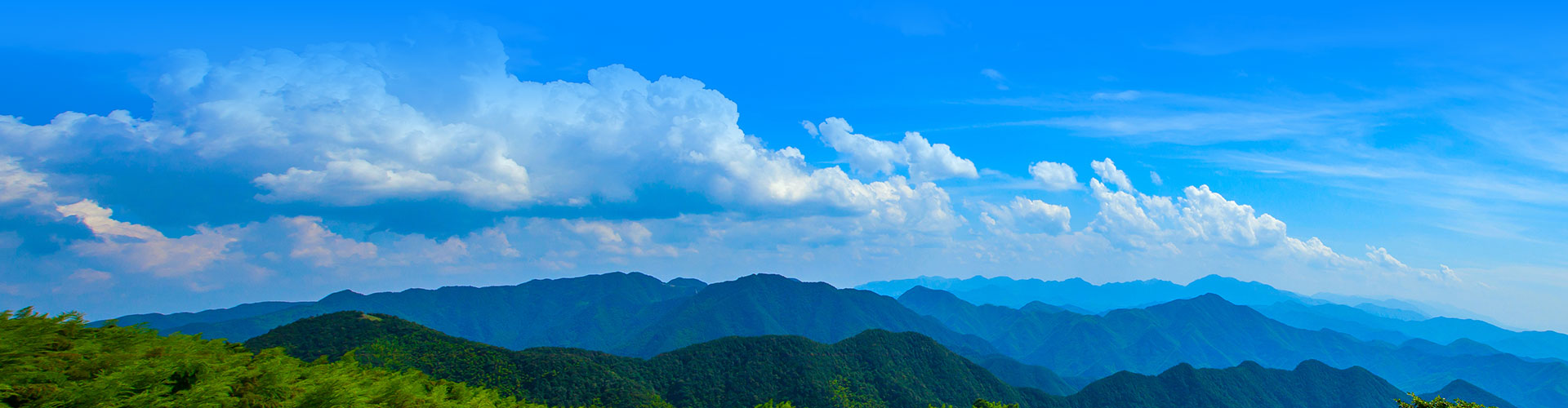 企業(yè)榮譽(yù)